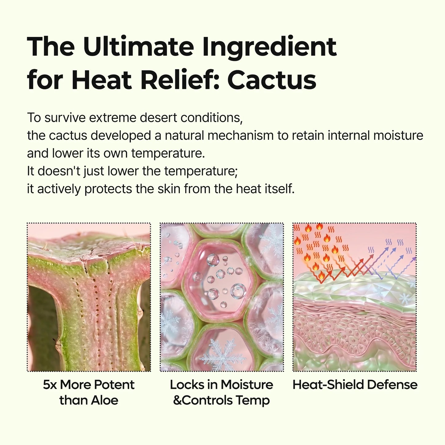 CACTOX Pore Relief Multi Salve