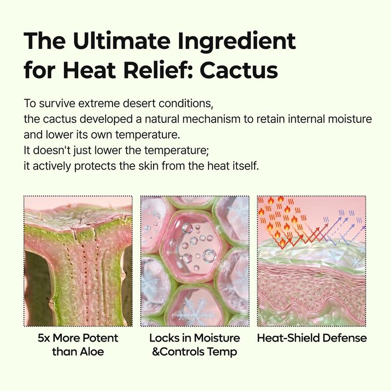 CACTOX Pore Relief Multi Salve